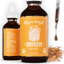 Load image into Gallery viewer, Hodgins Harvest Organic Reishi Mushroom Fruiting Body Extract Tincture - Extra Concentrated Dual Extract Supplement - Supports Heart Health &amp; Wellness - USDA Organic Mushrooms - 4 oz
