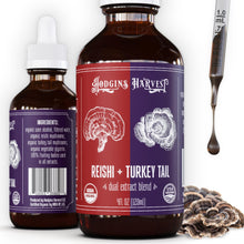 Load image into Gallery viewer, Hodgins Harvest Organic Reishi Mushroom Fruiting Body Extract Tincture - Extra Concentrated Dual Extract Supplement - Supports Heart Health &amp; Wellness - USDA Organic Mushrooms - 4 oz

